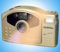 seagull dsc-1100, kodak dc210 vintage digital camera 1998